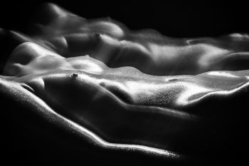 Leaving Body   Salon Silver Medal